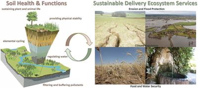 Editorial: Soil health, functions, and ecosystem services: insights into soil parameters and methods of integration